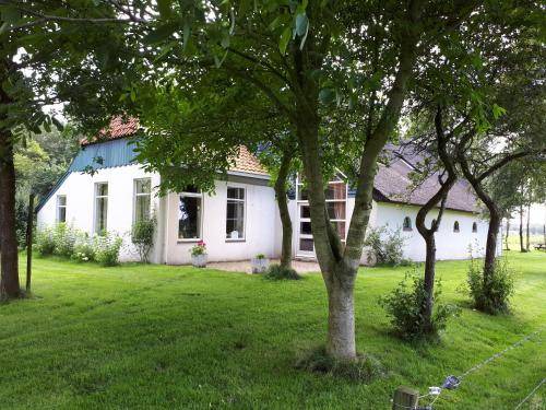 Eelde Bed & Breakfast | 50 m² Bed and breakfast ∙ 3 guests