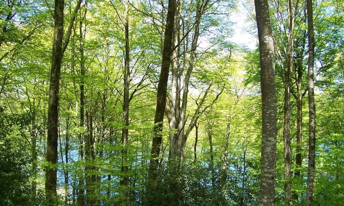 Saint-Amans-Valtoret House | 50 m² House ∙ 2 bedrooms ∙ 5 guests