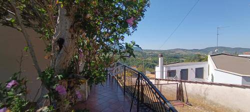 Poggio Moiano Bed & Breakfast | 60 m² Bed and breakfast ∙ 2 bedrooms ∙ 5 guests