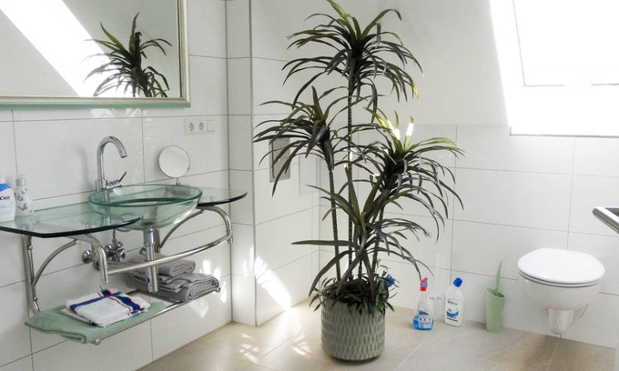 Pfrondorf Apartment | 67 m² Apartment ∙ 3 guests