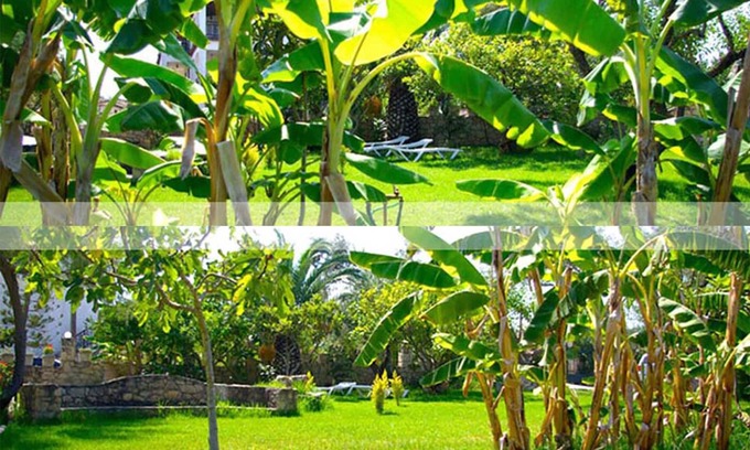 Neromilos Apartment | 7 Seaview Studios 150 meters from the Sea + 6000 sq.m2 garden (14 to 19 persons)