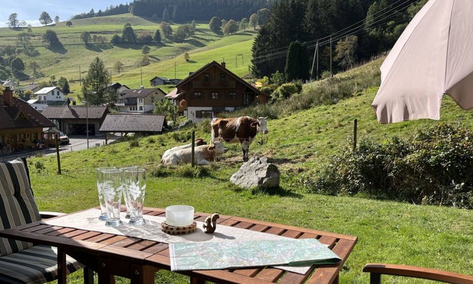 Todtnau Apartment | 70 m² Apartment ∙ 2 bedrooms ∙ 4 guests