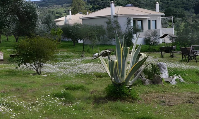 Pylos-Nestoras House | 70 m² House ∙ 2 bedrooms ∙ 6 guests