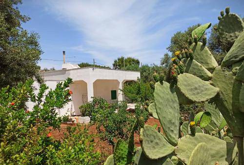 Torre Canne House | 70 m² House ∙ 2 bedrooms ∙ 6 guests