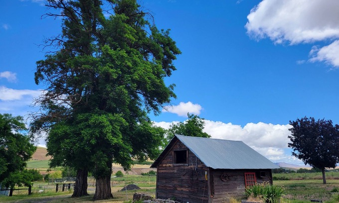 South Cascades Area Bed & Breakfast | 8 Mile Farm B&B