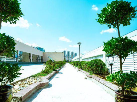 Zhenxiong County Hotel | 80 m² Hotel ∙ 3 guests