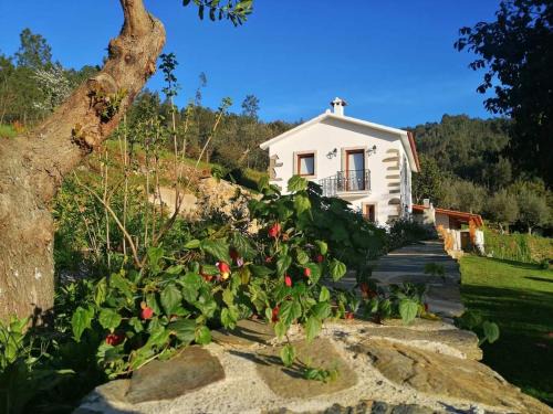 Serta House | A Casa dos Avós - Alojamento Local