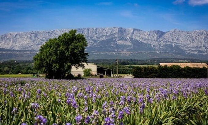 Trets Villa | A CHARMING, RELAXING & EXOTIC SETTING MINUTES FROM TRETS