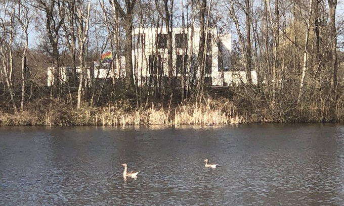 Joure House | A great, huge house on the water with 9 bedrooms.