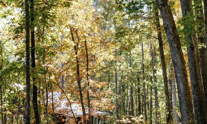 Rome Cottage | A secluded haven on 5,000 acres in NW Georgia, just 45 minutes from Atlanta and Chattanooga, and a quick 10-minute drive to downtown Rome. Explore private trails along the Etowah river, bask in wildlife, and gaze at mesmerizing stars. Your perfect es