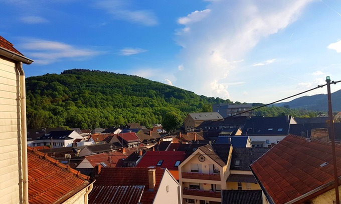Bollendorf House | A trip into nature