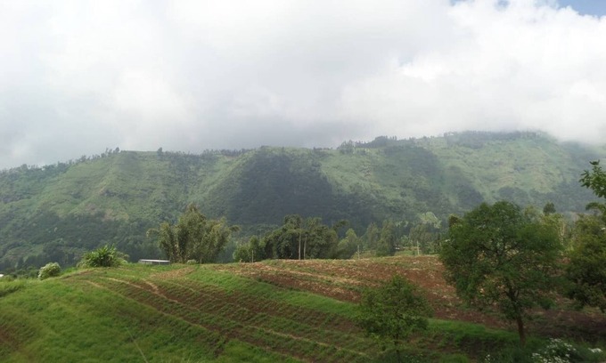 Sukapura Apartment | A twinbedroom private bathroom 30 minutes to Madakaripura waterfall