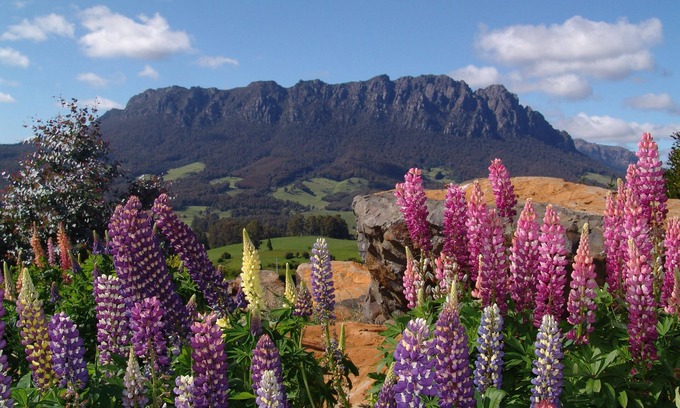 Promised Land Cottage | AAA Granary Accommodation