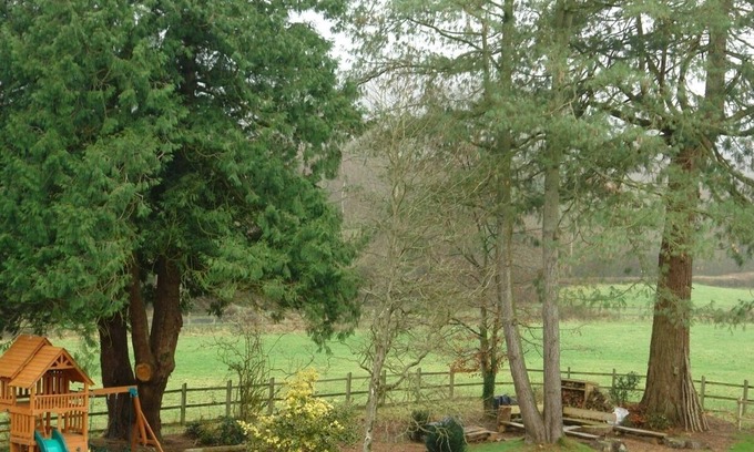 Honiton Cottage | Abbots Manor