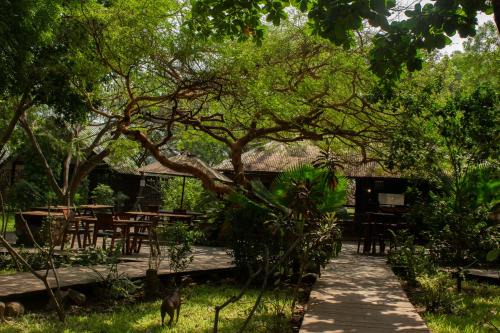 Central Equatoria Resort | Acacia Village