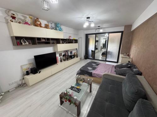 Braila Apartment | Accommodation 4YOU - Minerva