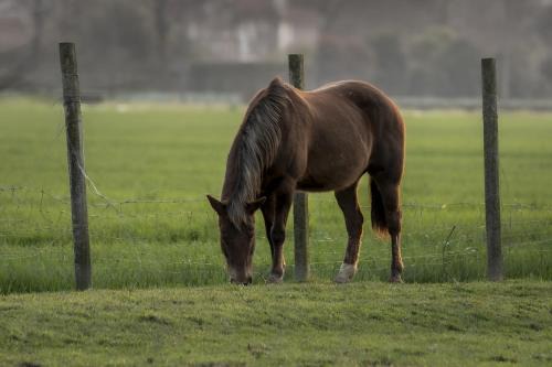 Treviso House | Agriturismo Al Botteniga