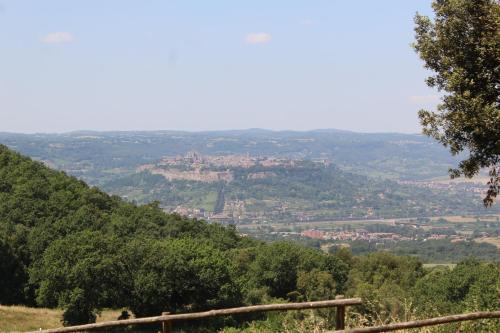 Orvieto House | Agriturismo Fattoria Poggio Boalaio