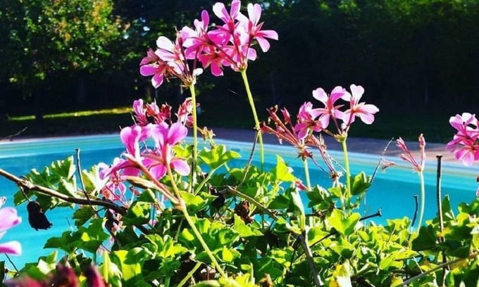 Bucine Other | Agriturismo Il Sole Verde