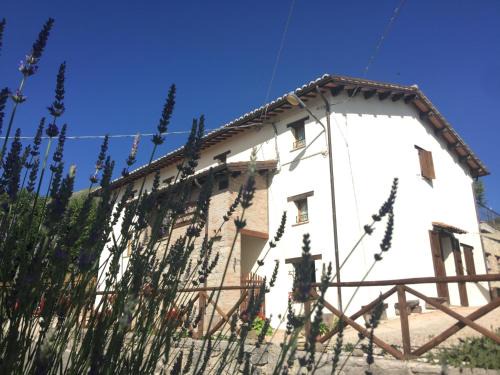 Montemonaco House | Agriturismo Le Castellare