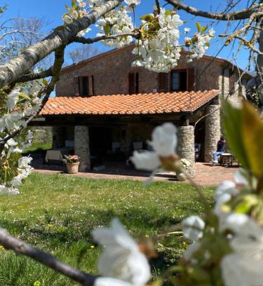 Massa Marittima Apartment | Agriturismo Monte Gusciani