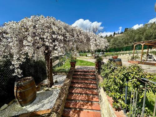 Pontassieve House | Agriturismo Tassinaia