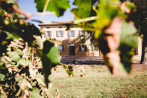 Fabbrico House | Agriturismo Vitae