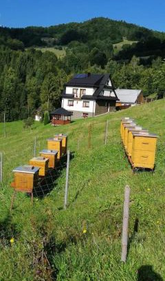 Ochotnica Dolna House | Agroturystyka Anna