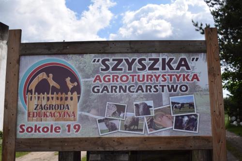 Czluchow House | Agroturystyka SZYSZKA