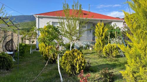 Ismailli House | AkbA-Frame2