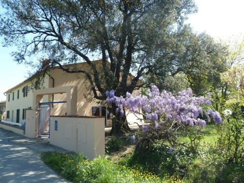 Pistoia House | Al Vecchio Leccio