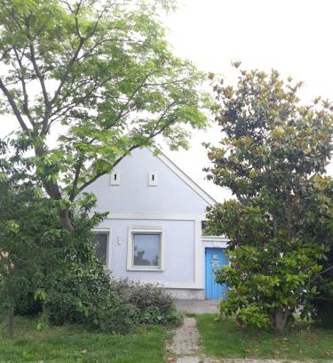 Kittsee House | Alla