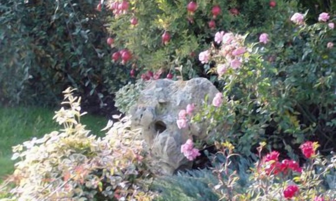Castel Guelfo di Bologna Bed & Breakfast | Alla Corte del Picchio