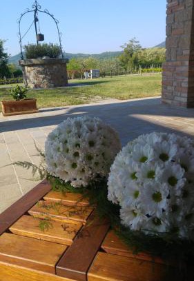 Arqua Petrarca Bed & Breakfast | Alloggio Franciscus