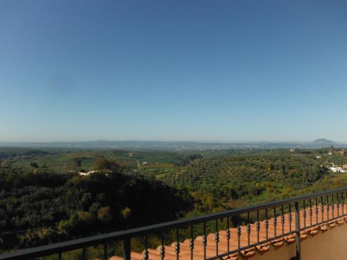 Montelibretti Apartment | Alloggio Turistico Ciliegi in Fiore