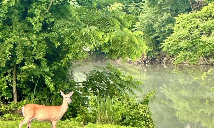 Grafton House | Almost Heaven At The River: Riverfront Family Fun, Work Week, or Golf Getaway!