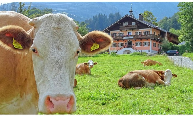 Niedernsill Resort | AlpinResort DerBacherhof