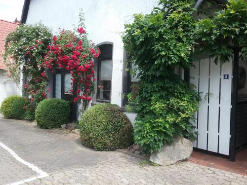 Petershagen Apartment | Altstadt-Apartment Petershagen