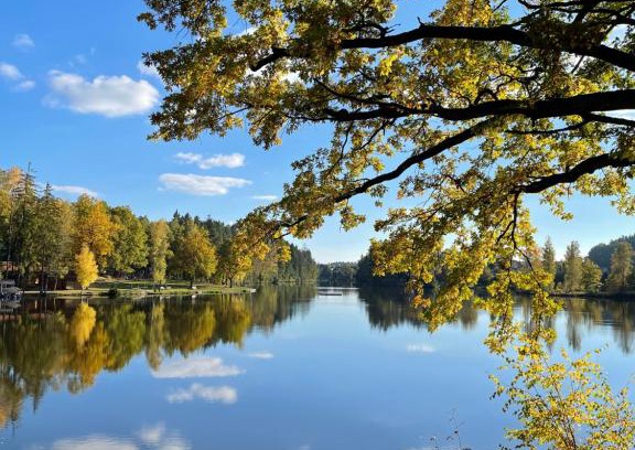 Litschau Apartment | Am Herrensee