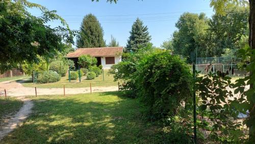 Sombor House | Amazonka