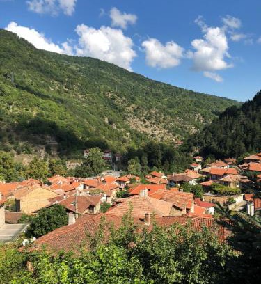 Bachkovo Villa | Ambrozia Spa and Relax family house