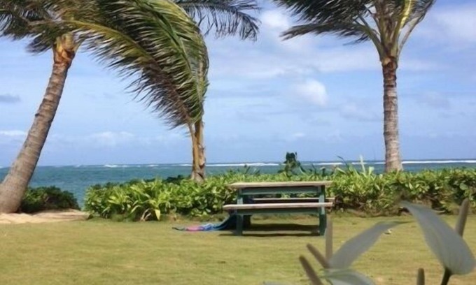 Punaluu Cottage | An Absolute, Perfect Paradise and Affordable