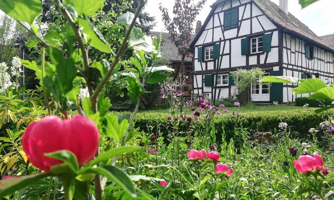 Ohnenheim House | An Alsatian House