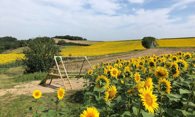 Puylaurens Cottage | Ancien Corps de Ferme au Milieu des Tournesols