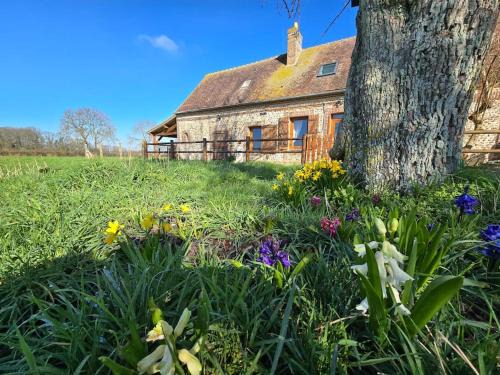 Saint-Michel-Tubœuf House | Ancien gîte de chasse, calme & nature
