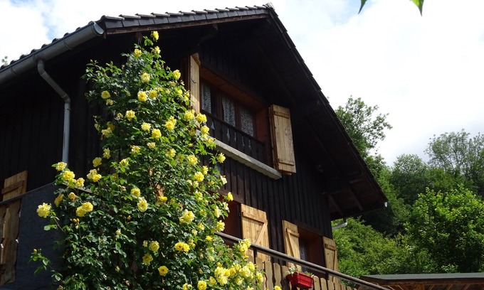 Rovagny Ski Chalet | Annecy Talloires, "Chalet de LA SCIERIE" exceptional setting peace and quiet