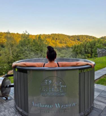 Solina Apartment | Antkowe Wzgórze