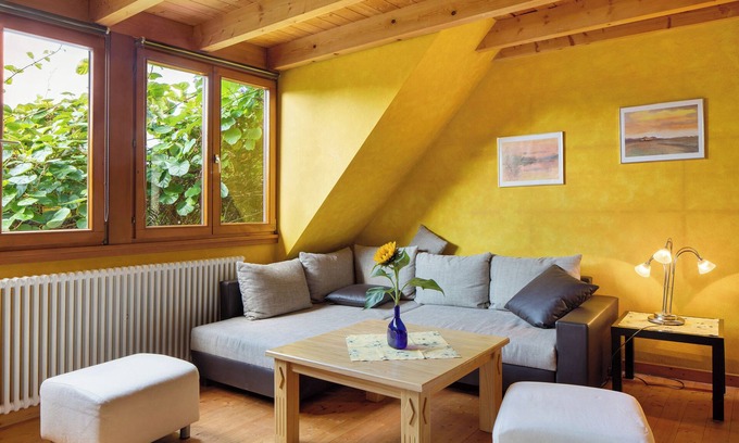 Feldberg Apartment | Apartment 'Fewo 1' with Wi-Fi