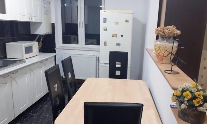 Emanoil Gojdu Apartment | Apartament 2 camere