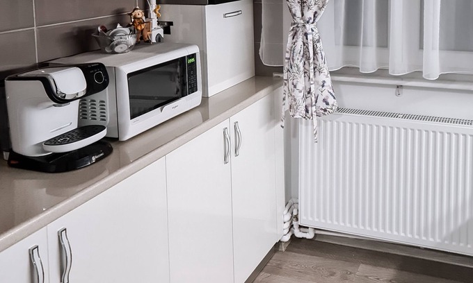Emanoil Gojdu Apartment | Apartament Alina